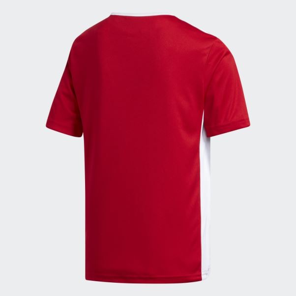 Maillot Adidas Entrada Rouge