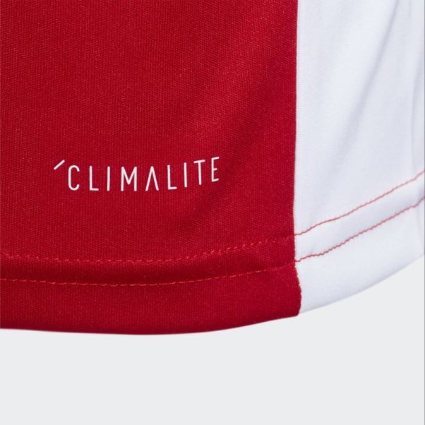 Maillot Adidas Entrada Rouge