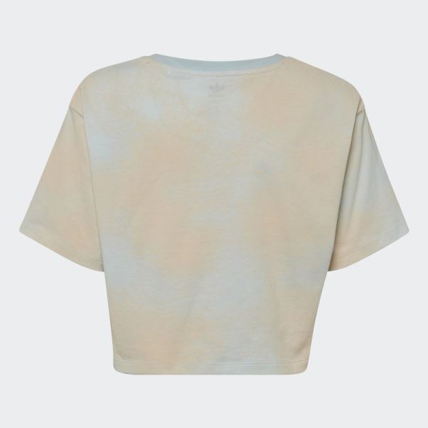 T-shirt Court Imprimé Graphique Adidas Bleu
