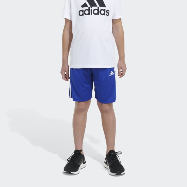 Short Adidas Trace Royal Classic Mesh 3s