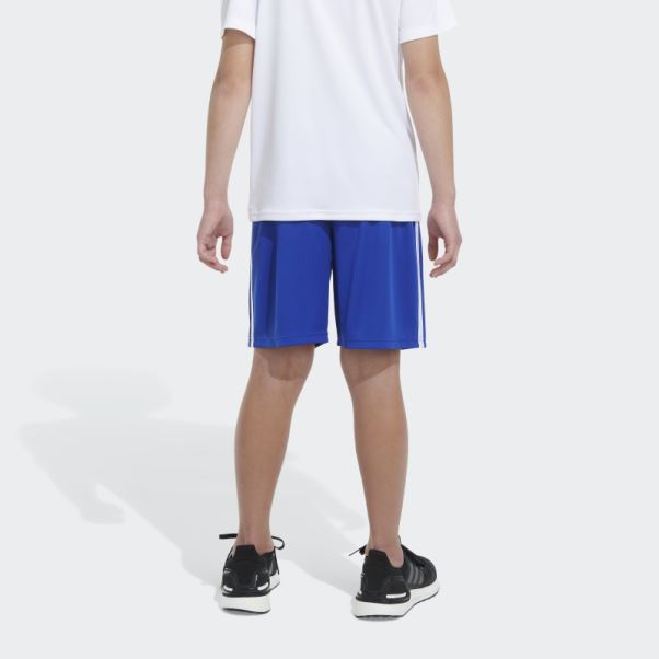 Short Adidas Trace Royal Classic Mesh 3s