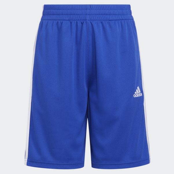 Short Adidas Trace Royal Classic Mesh 3s