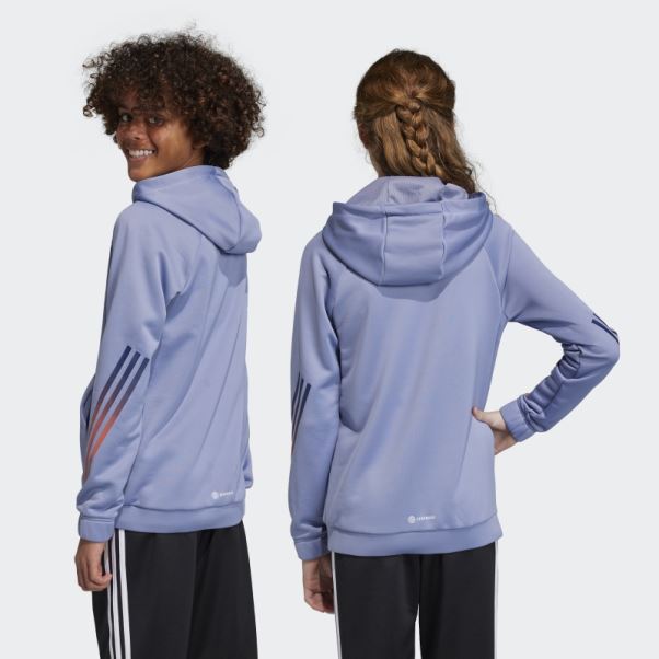 Train Icons Aeroready 3-stripes Sweat à Capuche Adidas Argent Violet