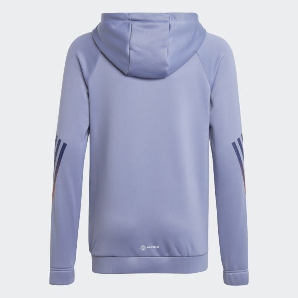 Train Icons Aeroready 3-stripes Sweat à Capuche Adidas Argent Violet