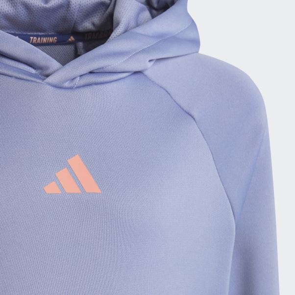 Train Icons Aeroready 3-stripes Sweat à Capuche Adidas Argent Violet