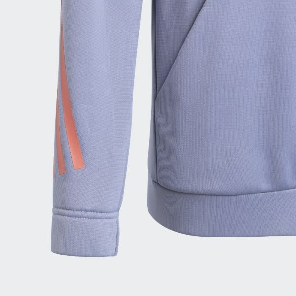 Train Icons Aeroready 3-stripes Sweat à Capuche Adidas Argent Violet