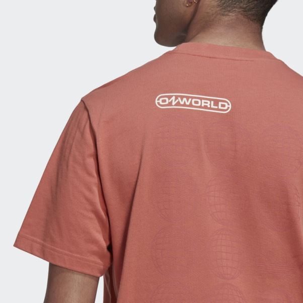 T-shirt Graphique Adidas Ozworld Terre