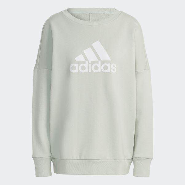 Sweat Adidas Future Icons Badge Of Sport Vert
