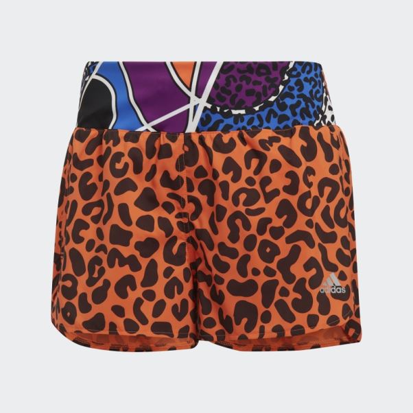 Adidas Short De Course Orange Rich Mnisi