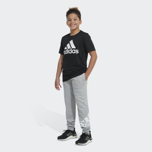 Adidas Ess Flc Htr Bos Jogging Gris Moyen
