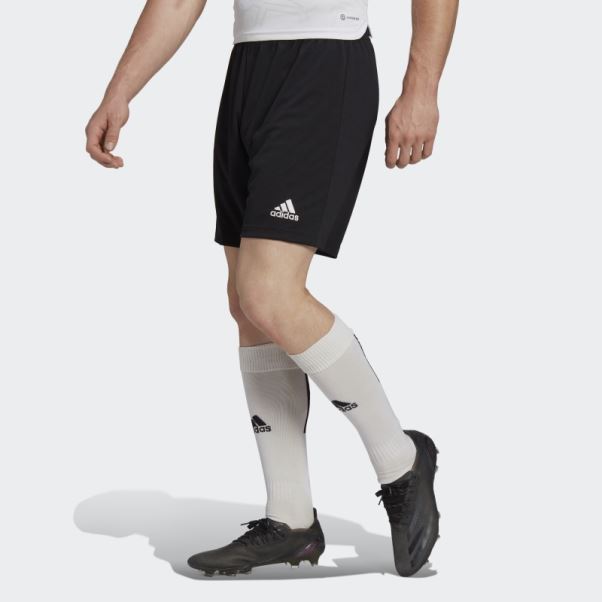 Entrada 22 Short Adidas Noir élégant