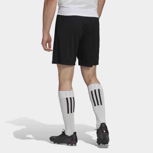 Entrada 22 Short Adidas Noir élégant