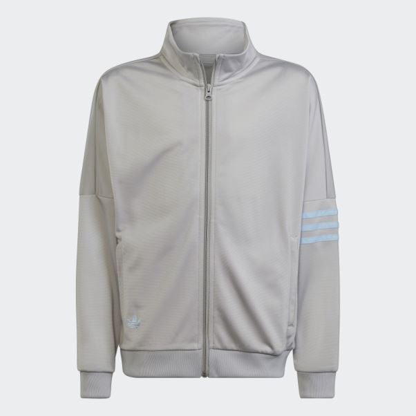 Veste De Survêtement Adidas Adicolor Gris
