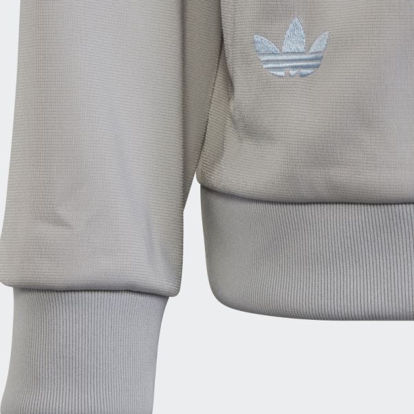 Veste De Survêtement Adidas Adicolor Gris