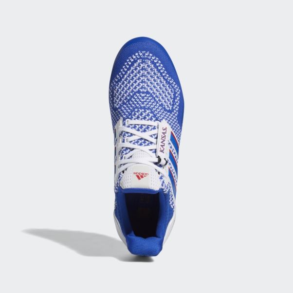 Chaussure Ultraboost Adidas Bleu Royal