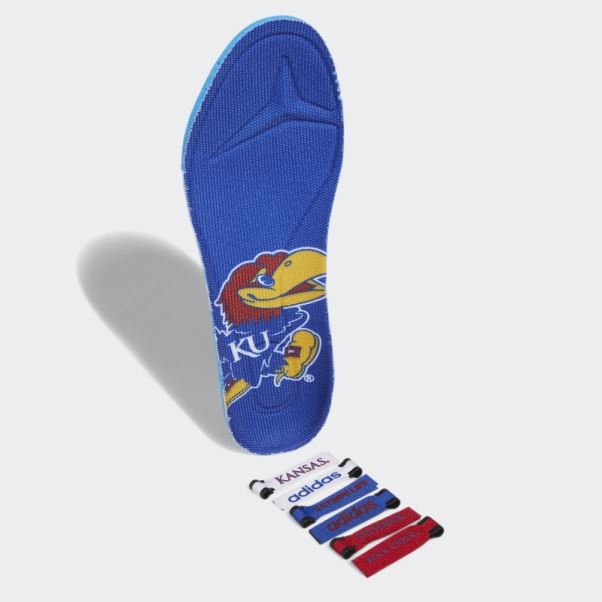 Chaussure Ultraboost Adidas Bleu Royal