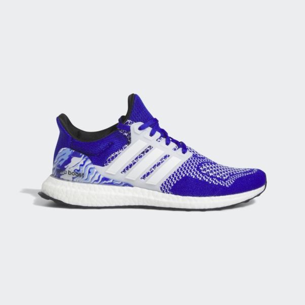 Adidas Ultraboost 1.0 Chaussures Bleu