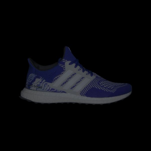 Adidas Ultraboost 1.0 Chaussures Bleu