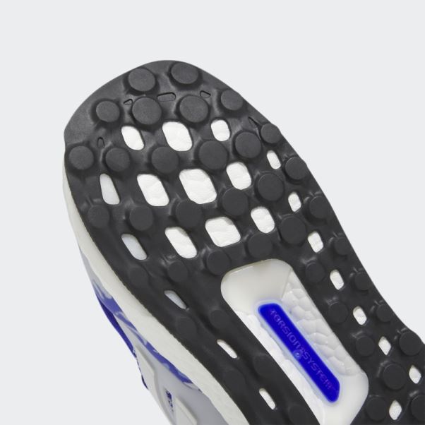 Adidas Ultraboost 1.0 Chaussures Bleu
