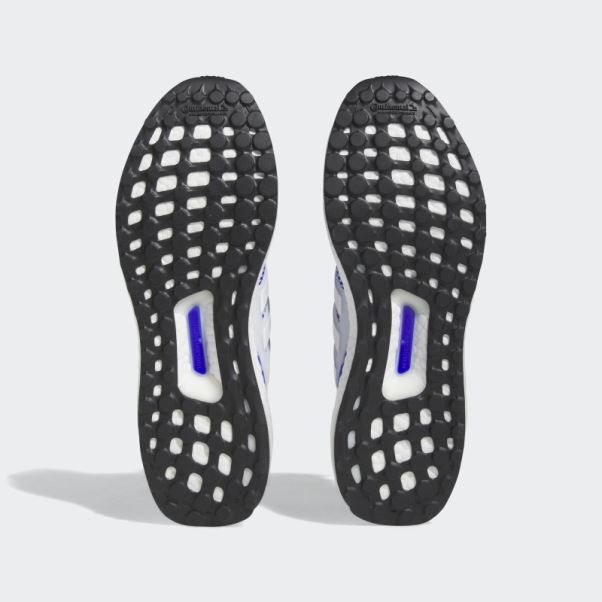 Adidas Ultraboost 1.0 Chaussures Bleu