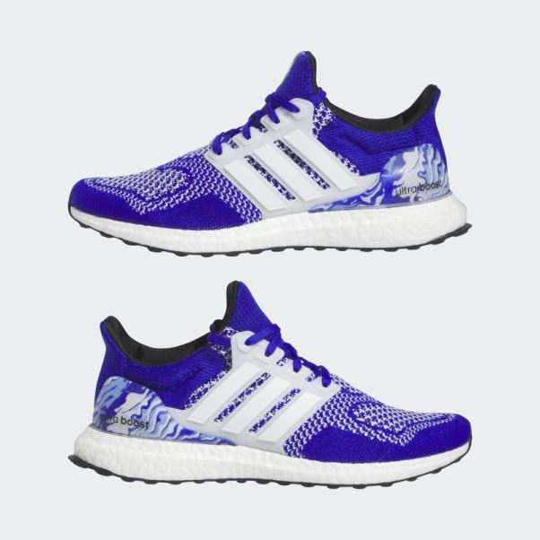 Adidas Ultraboost 1.0 Chaussures Bleu