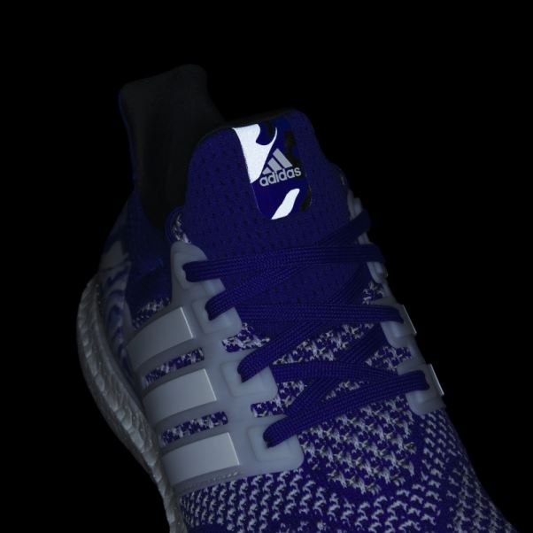 Adidas Ultraboost 1.0 Chaussures Bleu