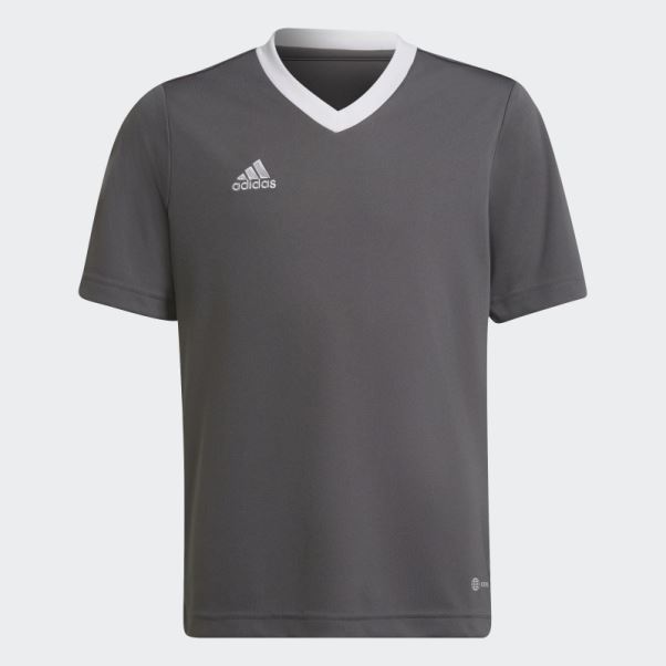 Maillot Entrada 22 Adidas Gris