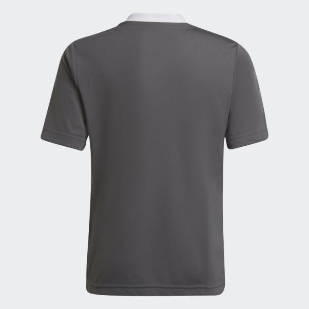 Maillot Entrada 22 Adidas Gris