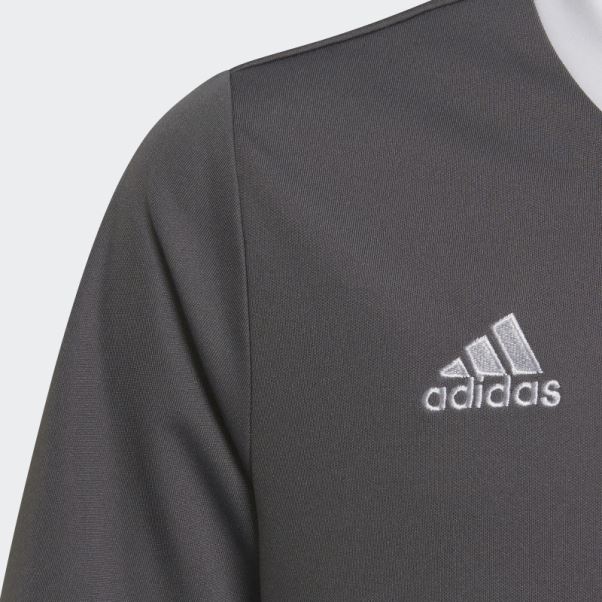 Maillot Entrada 22 Adidas Gris