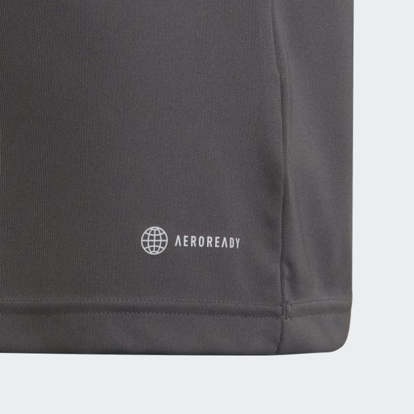 Maillot Entrada 22 Adidas Gris