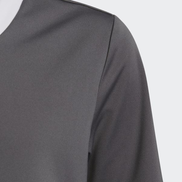 Maillot Entrada 22 Adidas Gris