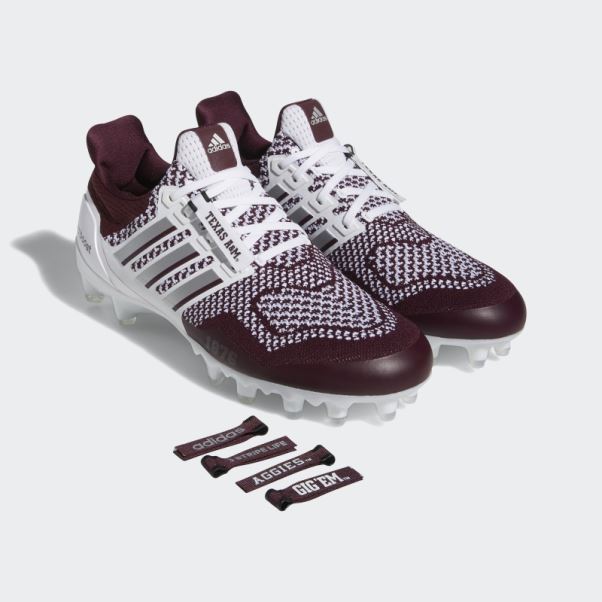 Adidas Ultraboost Bordeaux