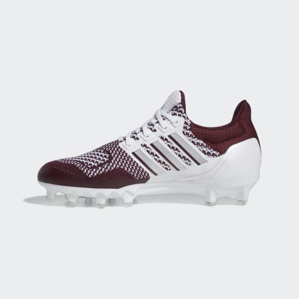 Adidas Ultraboost Bordeaux