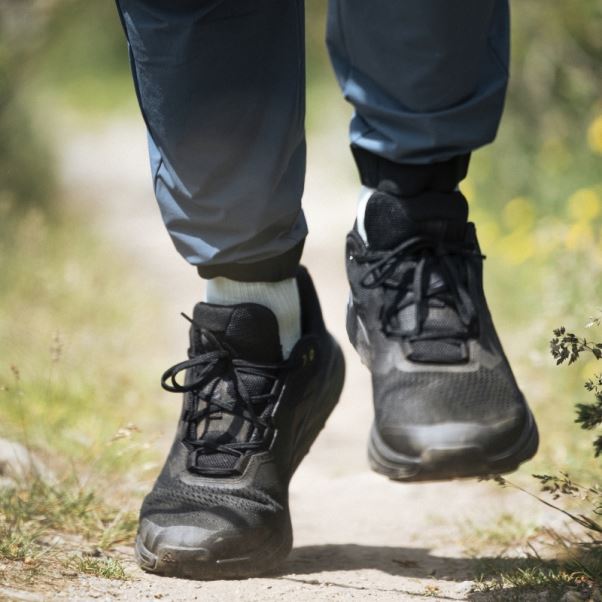 Terrex Deux Flux Chaussures De Course Sur Sentier Adidas Noir