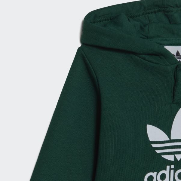 Ensemble Sweat à Capuche Adicolor Adidas Vert Foncé