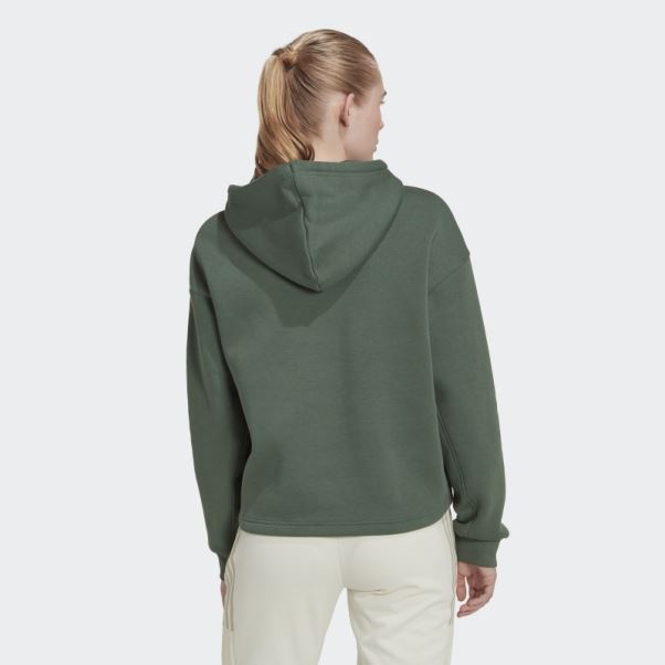 Adidas Sweat à Capuche Vert Oxyde All Szn Polaire