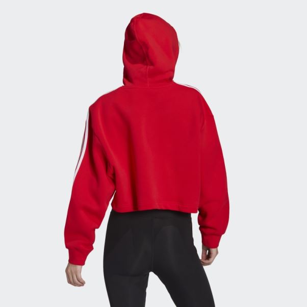 Sweat à Capuche Court Adidas Adicolor Classics Rouge