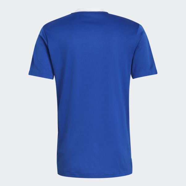 Maillot D'entrainement Adidas Tiro 21 Bleu Royal