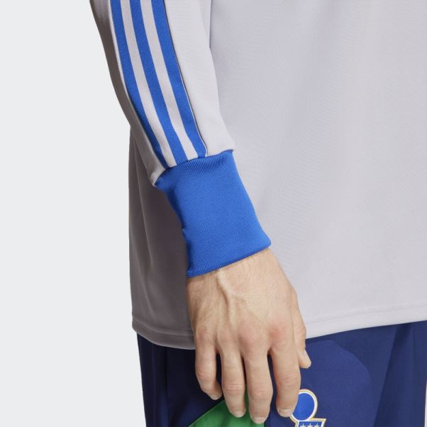 Adidas Maillot De Gardien Italy Icon Gris Gloire