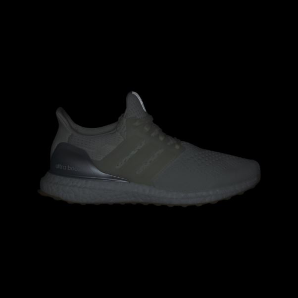 Adidas Ultraboost 1.0 Chaussures Argent