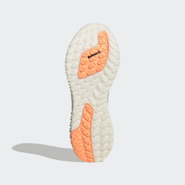 Chaussures De Course Adidas 4dfwd 2 Grises