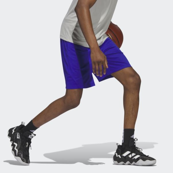 Adidas Short De Basket Badge Of Sport Bleu