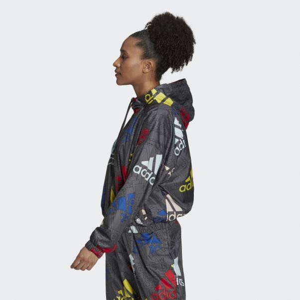 Coupe-vent Ample Adidas Essentials Logo Multicolore Carbone