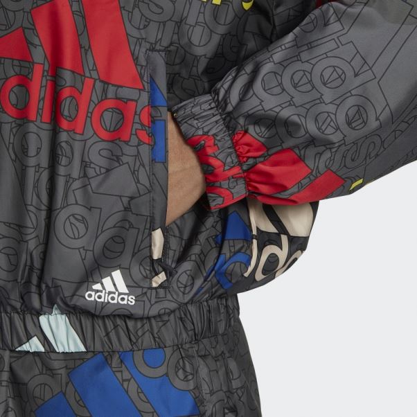 Coupe-vent Ample Adidas Essentials Logo Multicolore Carbone
