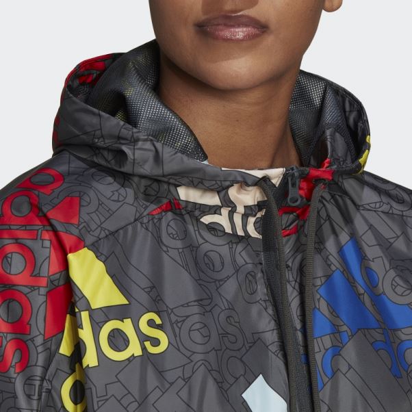 Coupe-vent Ample Adidas Essentials Logo Multicolore Carbone