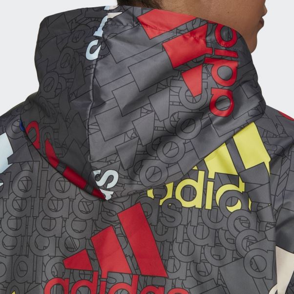Coupe-vent Ample Adidas Essentials Logo Multicolore Carbone