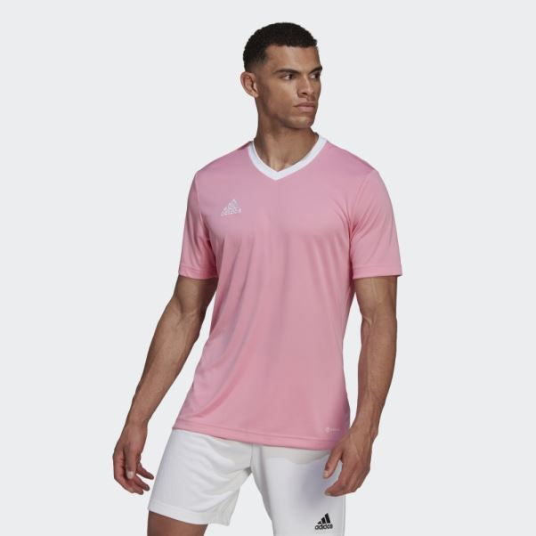 Maillot Entrada 22 Adidas Rose Lueur