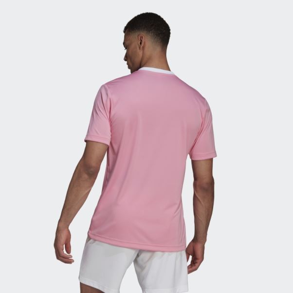 Maillot Entrada 22 Adidas Rose Lueur