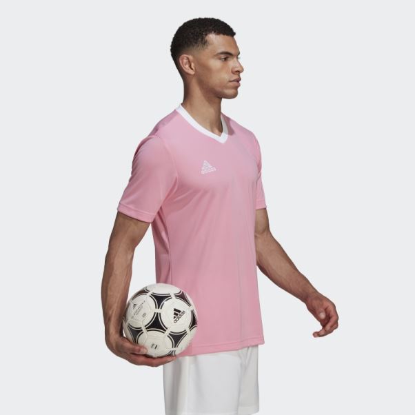 Maillot Entrada 22 Adidas Rose Lueur