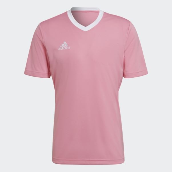 Maillot Entrada 22 Adidas Rose Lueur